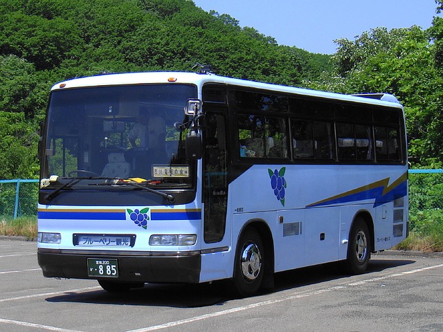 Wynajem autobusów i mikrobusów Warszawa